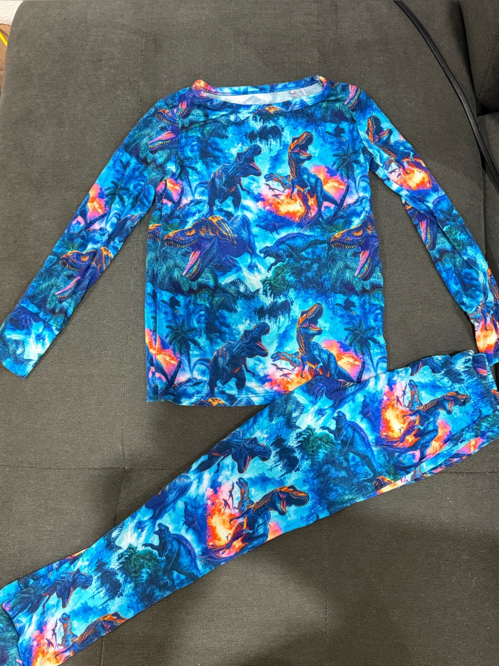 Boys Blue Dinosaur Print Pajama Set